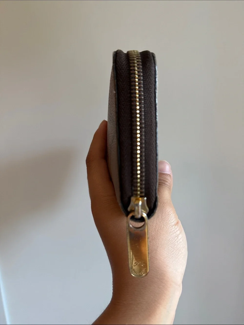 LOUIS VUITTON Giant Monogram Reverse Zippy Wallet